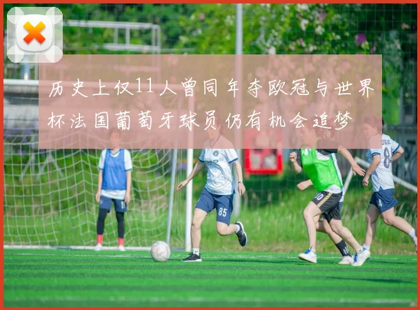 历史上仅11人曾同年夺欧冠与世界杯法国葡萄牙球员仍有机会追梦